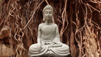 A stone Buddha in the lotus position with his eyes closed meditates against the background of the roots of the Bodhi tree.