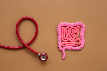 Digestive colon system health concept. Intestines shape made of plasticine with stethoscope