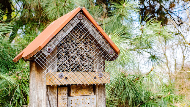 Insect house close up photo with copy space. Biological pest control methods. Insect hotel in a sustainable garden. DIY garden craft ideas for kids. A useful eco-friendly garden decoration.