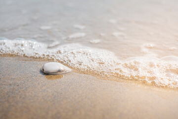 Fototapeta na wymiar Sea shell on sand. Sea waves on the golden sand at beach