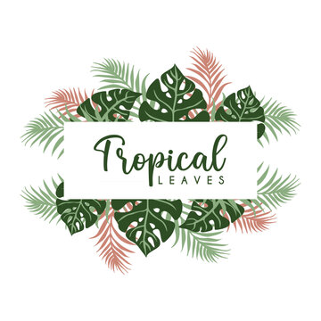Green summer tropical background with exotic palm leaves. vector illustration. usable for background, decoration, template, wedding invitation. Vintage