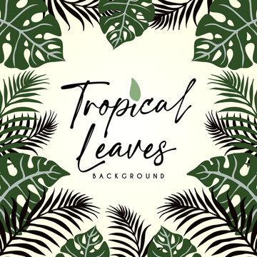 Vector floral background. Green summer tropical background with exotic palm leaves.