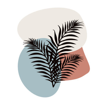 Vector background. Neutral colored vector illustration with summer tropical exotic palm leaves. forest, decoration.