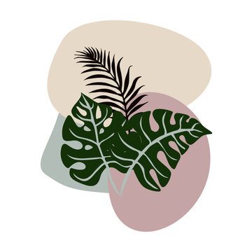 Neutral colored vector illustration with summer tropical exotic palm leaves.