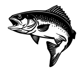 Trout Fish,  trout jumping icon, Freshwater Salmon catch emblem, Fish jump sign.