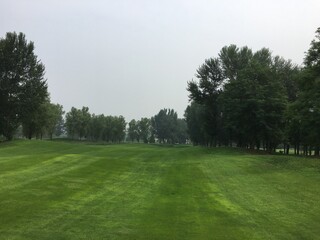 a beautiful golf course