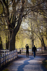 Vertical stock image of a man and woman in silhouette walking on a trail with large trees.