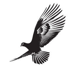 Obraz premium Dove in fly closeup. Also good for tattoo. Editable vector monochrome image with high details isolated on white