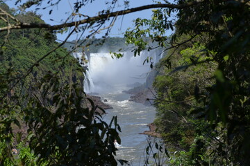 naturaleza