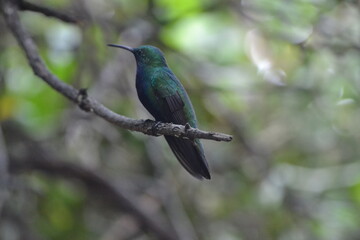 naturaleza