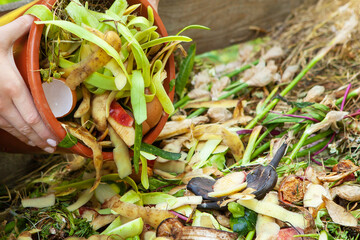 A woman throws kitchen waste, vegetable and fruit peels from a bucket into a composter. Close-up of a woman's hand with a bucket, recycling kitchen waste in a composter in the backyard. Copy space.