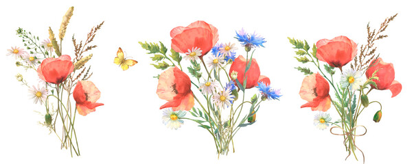 Set of fied flowers bouquet. Watercolor botanical illustration, wild flowers bouquet with poppies, cornflower, and chamomile and with butterflies, isolated on white background