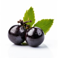 Jabuticaba fruit isolated on white background. Generative AI