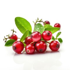 Obraz premium Lingonberry fruit isolated on white background. Generative AI