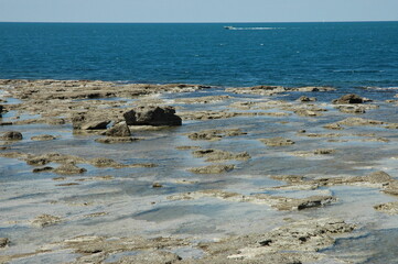 scogliera nel lungomare di Livorno .