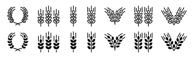 Wheat ear icon vector set. Grain icons collection in line and flat style. Wheat icon on white background. Cereals grain, agriculture, rice stalk, bread, food, harvest symbol. Vector illustration