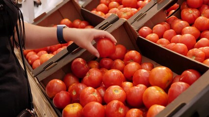 Close-up of a woman choosing fresh tomatoes in a box in a supermarket. Grocery store.