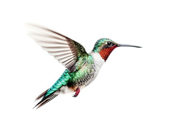 Obraz premium Humming bird hovering isolated on a white background. Generative AI