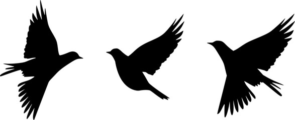 Flying Birds. Vector Illustration