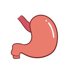 Set of human inner organs Stomach