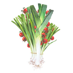 Watercolor illustration of vegetables. Hand-drawn set from isolated clip art on a white background. Bright and juicy pictures of realistic watercolor vegetables for any design.