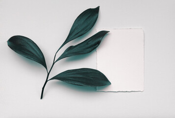Empty  Blank texture canvas paper card copy space with leaf. Minimalism style template background. Flat lay, top view.