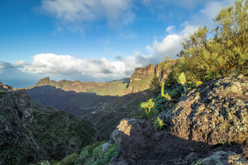 Fototapeta premium Blick über das Teno Gebirge in Teneriffa