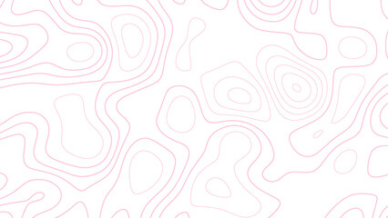 Topographic line contour map background, Pink color topography contour lines isolated on white background. Topographic map colorful abstract background with contour lines. 
