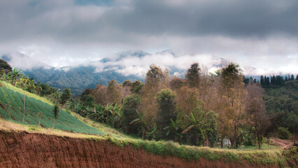 panorama of the mountains