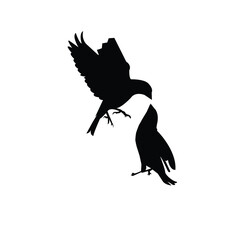 silhouette of a bird