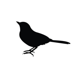 silhouette of a bird