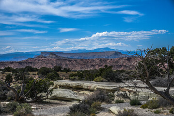 Western States Desert