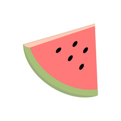 Summer vector illustration elements