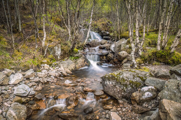 Walking on the Kintail Way at Glen Affric in the Scottish Highlands