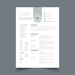 Professional Resume cv Layout template