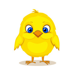 Yellow chick from an egg with blue eyes