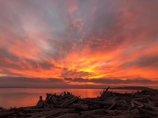 Puget Sound sunset with drift logs on beach