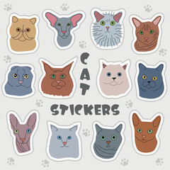 Cat stiker set. Hand drawn modern flat cartoon collection of pets. Breeds cute pet animal set. Vector illustration.