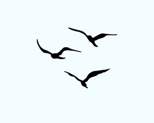 silhouette of a flying bird