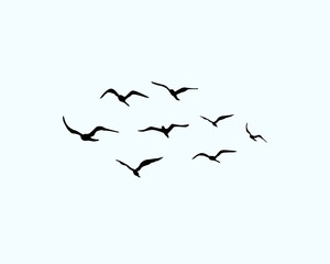flying birds isolated on white