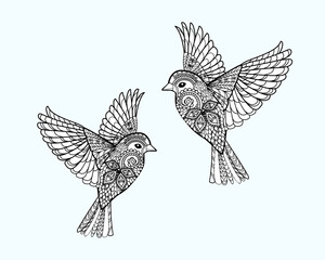 illustration of a bird