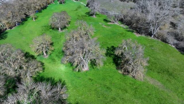 Meanders in the Lucio River in Renedo de la Inera. Aerial view from a drone. Recuevas Valley. World geological heritage UNESCO. Las Loras Geopark. Palencia. Castile and Leon. Spain, Europe