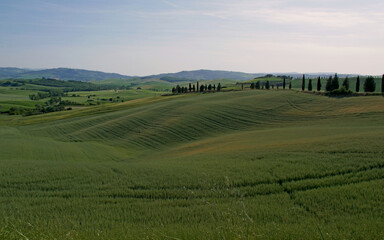 Fototapeta na wymiar Hilly landscape of Tuscany, Italy