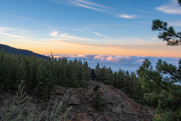 Amazing sunset orange colours of landscape of forest above clouds in mountain during summer in tenerife island, canarias, spain