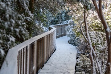 Scenic view of a wooden bridge in winter covered in white snow in Tasmania, Australia
