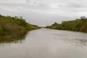 Everglades Swamp Channel