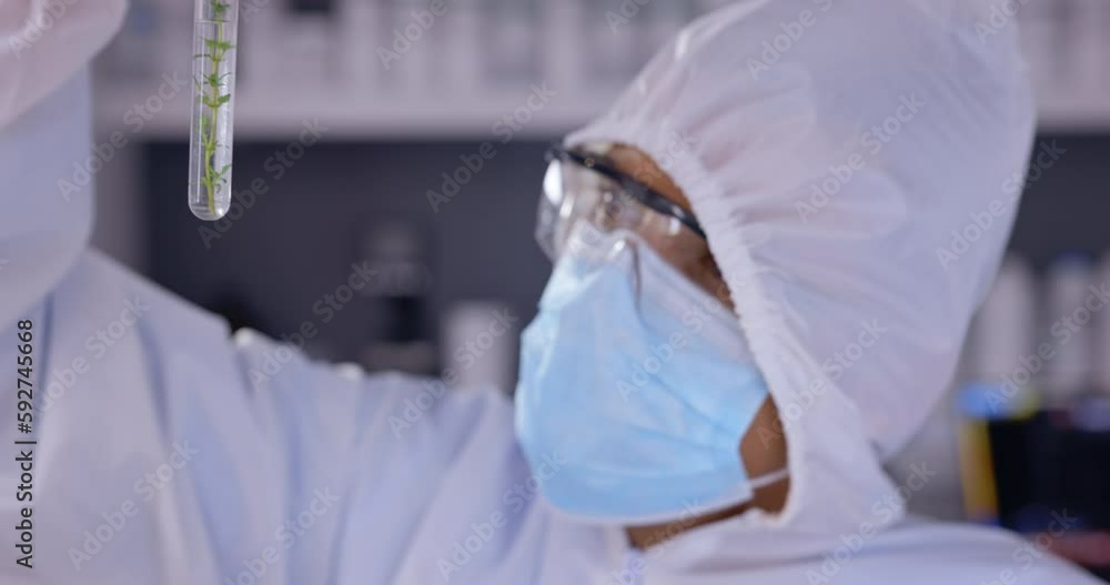 Poster Covid, test tube and botany sample with a scientist person working in a laboratory for research or innovation. Science, hand or biology with a male doctor in a ppe mask while in a lab for development