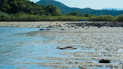 Fototapeta premium Hong Kong Nature