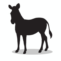 Zebra silhouettes and icons. Black flat color simple elegant Zebra animal vector and illustration.