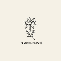 Line art flannel flower illustration